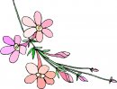 natura/fiori/clipart_fiori_c316.jpg