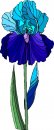 natura/fiori/clipart_fiori_c329.jpg