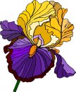 natura/fiori/clipart_fiori_c330.jpg