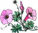 natura/fiori/clipart_fiori_c34.jpg