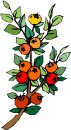 natura/fiori/clipart_fiori_c35.jpg