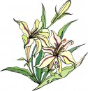 natura/fiori/clipart_fiori_c46.jpg