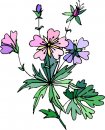 natura/fiori/clipart_fiori_c48.jpg