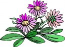 natura/fiori/clipart_fiori_c49.jpg