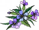 natura/fiori/clipart_fiori_c53.jpg