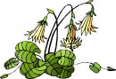 natura/fiori/clipart_fiori_c54.jpg