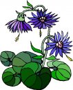 natura/fiori/clipart_fiori_c55.jpg