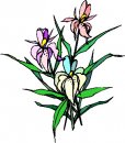 natura/fiori/clipart_fiori_c58.jpg