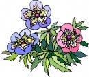 natura/fiori/clipart_fiori_c60.jpg