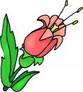 natura/fiori/clipart_fiori_c68.jpg