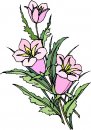 natura/fiori/clipart_fiori_c69.jpg