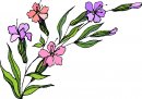 natura/fiori/clipart_fiori_c81.jpg