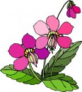 natura/fiori/clipart_fiori_c82.jpg