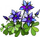 natura/fiori/clipart_fiori_c84.jpg