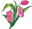 natura/fiori/clipart_fiori_c94.jpg