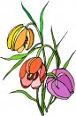 natura/fiori/clipart_fiori_c95.jpg