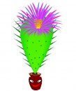 natura/fiori_cactus/CACTUS5.jpg
