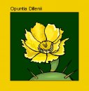 natura/fiori_cactus/natura_fiori_cactus_07.jpg