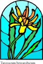 natura/fiori_vetro/clipart_fiori_vetro_59.jpg