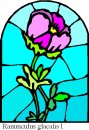 natura/fiori_vetro/clipart_fiori_vetro_67.jpg