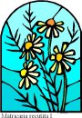 natura/fiori_vetro/clipart_fiori_vetro_83.jpg