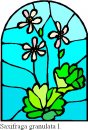 natura/fiori_vetro/clipart_fiori_vetro_88.jpg