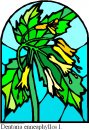 natura/fiori_vetro/clipart_fiori_vetro_93.jpg