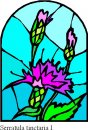 natura/fiori_vetro/clipart_fiori_vetro_95.jpg