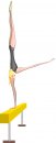 sport/ginnastica_artistica/ginnastica_artistica08.jpg