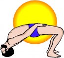 sport/yoga/sport_yoga34.jpg