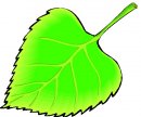 stagioni/autunno/autunno14.jpg