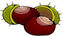 stagioni/autunno/autunno19.jpg