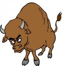 storia/far_west/far_west25.jpg