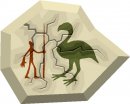storia/uomo_caverne/uomo_caverne41.jpg
